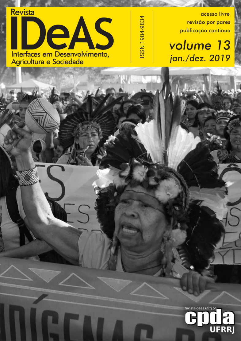Marcha das Mulheres Indígenas, Brasília, 2019 (© Joyce Costa Barbosa, 2019)